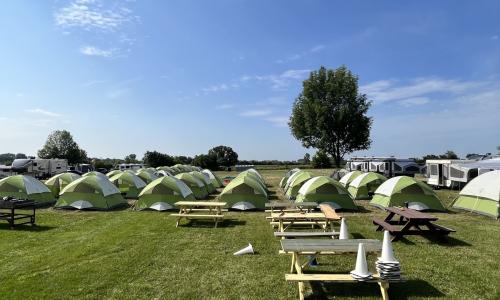 Purchasing Sllepin Bags from Walmart