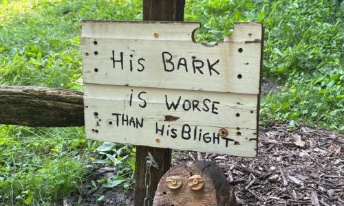 Seaplane Base 2024 4.jpg