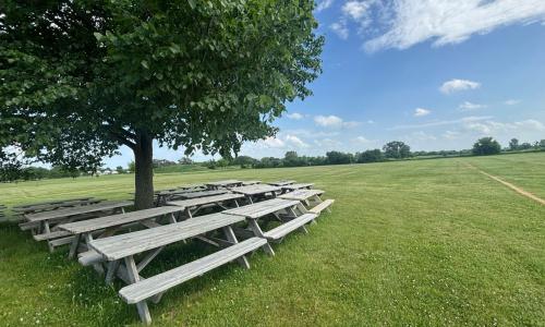 Green grounds ready for the show