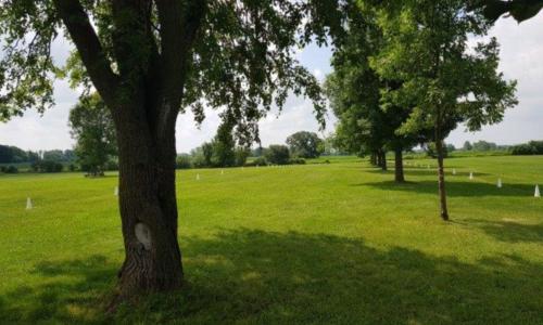 Oshkosh 2018 Setting Up (1).jpg