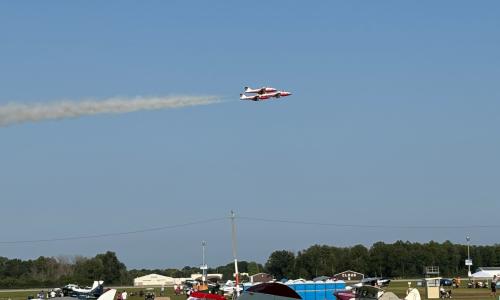 Canadian Snowbirds 2024 2.jpg