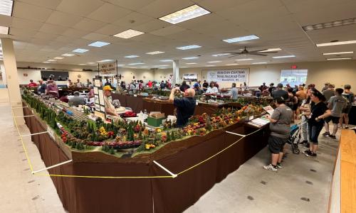 Impressive train sets