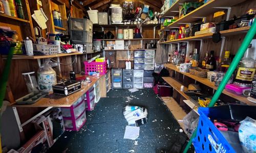 The hut as we found it, mice and racoons had had a ball!